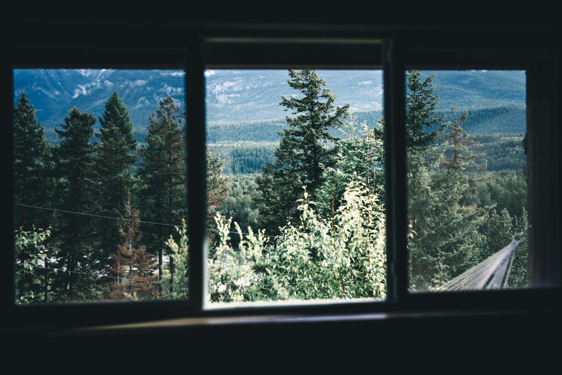 Vy över skog genom ett rent fönster